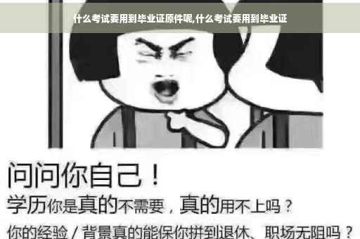 什么考试要用到毕业证原件呢,什么考试要用到毕业证