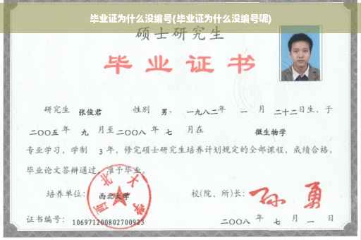 毕业证为什么没编号(毕业证为什么没编号呢)