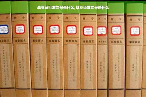 毕业证批准文号是什么,毕业证准文号是什么