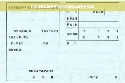 什么是毕业证电子档(什么是毕业证电子档案)