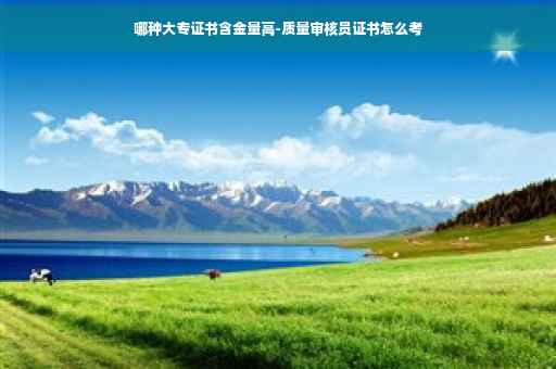 哪种大专证书含金量高-质量审核员证书怎么考