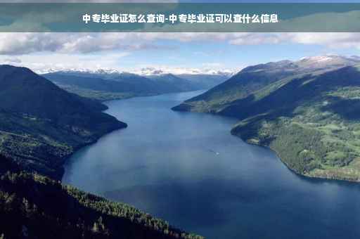 中专毕业证怎么查询-中专毕业证可以查什么信息