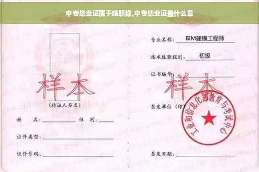 中专毕业证属于啥职称,中专毕业证盖什么章