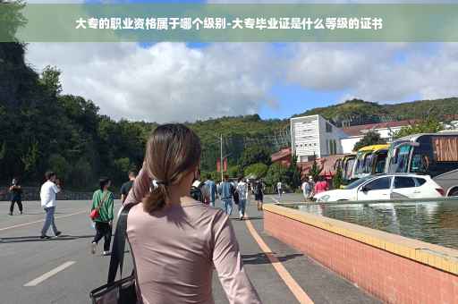 大专的职业资格属于哪个级别-大专毕业证是什么等级的证书