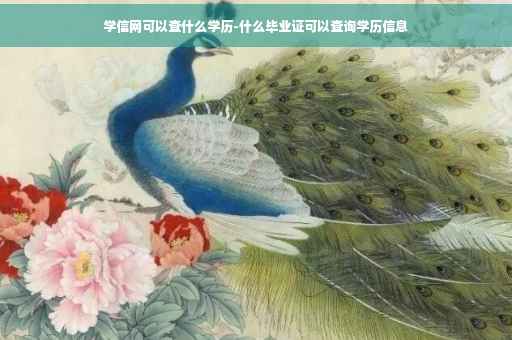 学信网可以查什么学历-什么毕业证可以查询学历信息