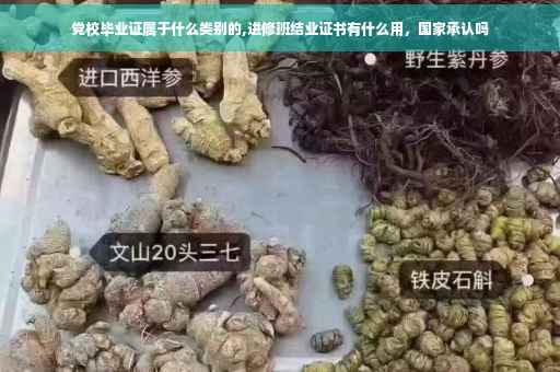 党校毕业证属于什么类别的,进修班结业证书有什么用，国家承认吗