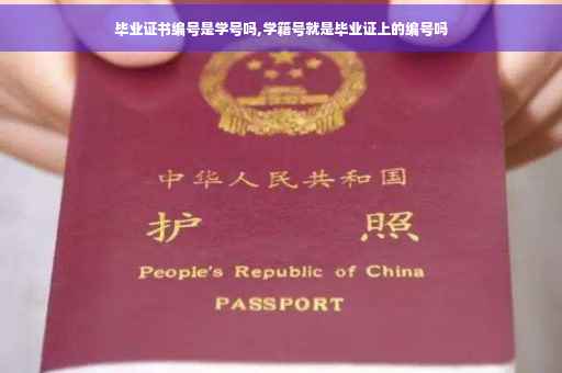 毕业证书编号是学号吗,学籍号就是毕业证上的编号吗