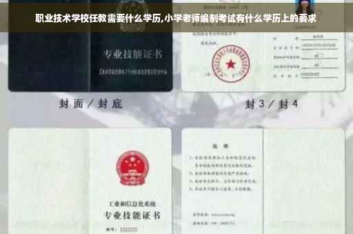 职业技术学校任教需要什么学历,小学老师编制考试有什么学历上的要求