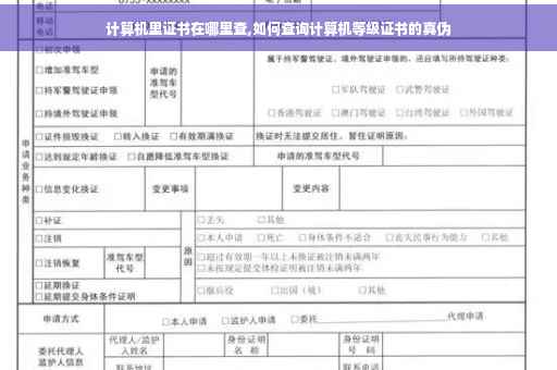 计算机里证书在哪里查,如何查询计算机等级证书的真伪