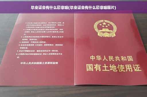 毕业证会有什么印章嘛(毕业证会有什么印章嘛图片)