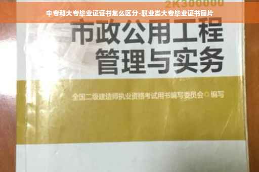 中专和大专毕业证证书怎么区分-职业类大专毕业证书图片
