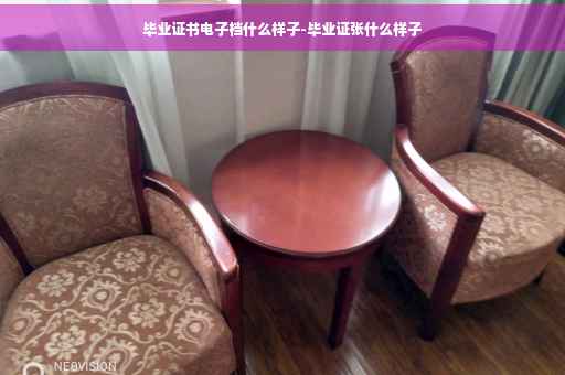 毕业证书电子档什么样子-毕业证张什么样子