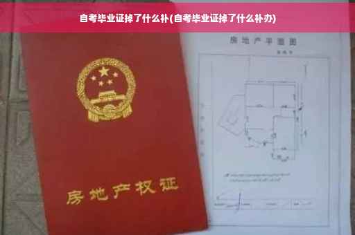 自考毕业证掉了什么补(自考毕业证掉了什么补办)