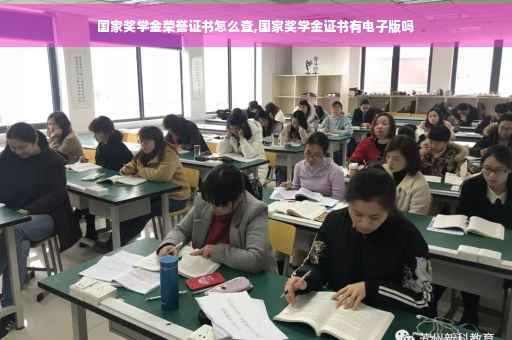 国家奖学金荣誉证书怎么查,国家奖学金证书有电子版吗
