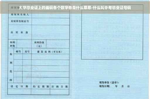 大学毕业证上的编码各个数字各是什么意思-什么叫中考毕业证号码