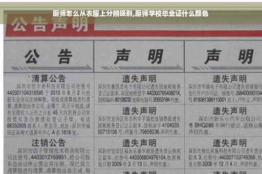 厨师怎么从衣服上分辨级别,厨师学校毕业证什么颜色