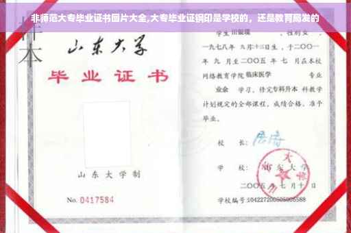 非师范大专毕业证书图片大全,大专毕业证钢印是学校的，还是教育局发的