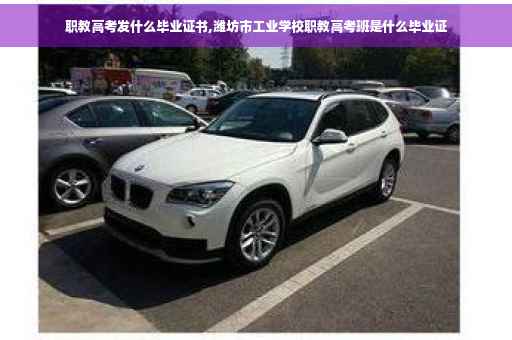 职教高考发什么毕业证书,潍坊市工业学校职教高考班是什么毕业证