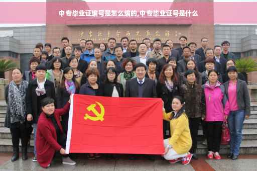中专毕业证编号是怎么编的,中专毕业证号是什么