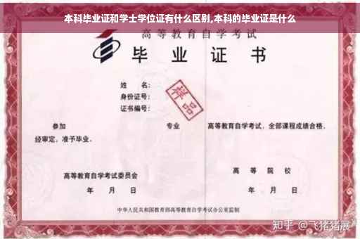 本科毕业证和学士学位证有什么区别,本科的毕业证是什么