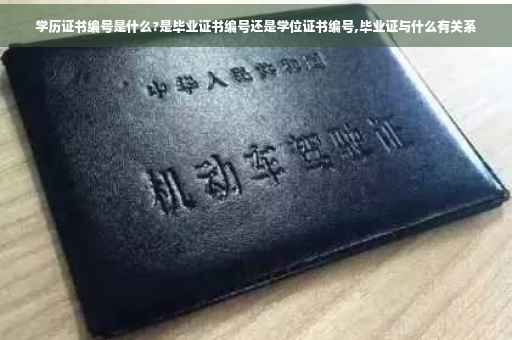 学历证书编号是什么?是毕业证书编号还是学位证书编号,毕业证与什么有关系