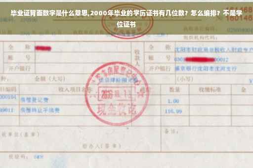 毕业证背面数字是什么意思,2000年毕业的学历证书有几位数？怎么编排？不是学位证书