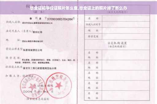 毕业证和学位证照片怎么查,毕业证上的照片掉了怎么办
