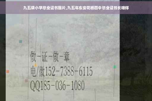 九五级小学毕业证书图片,九五年东安花桥四中毕业证书长啥样