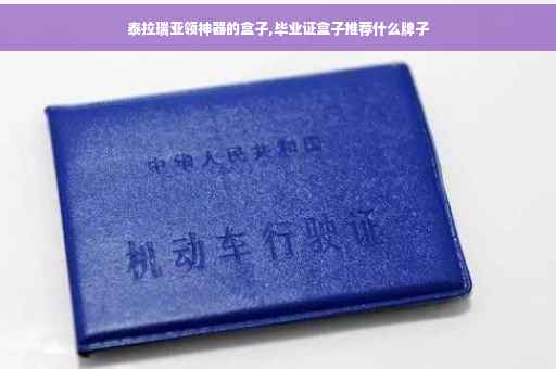 泰拉瑞亚领神器的盒子,毕业证盒子推荐什么牌子
