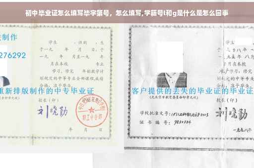 初中毕业证怎么填写毕字第号，怎么填写,学籍号l和g是什么是怎么回事