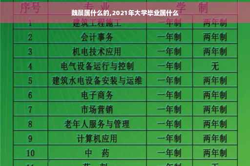 魏晨属什么的,2021年大学毕业属什么