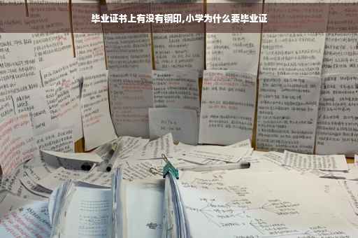 毕业证书上有没有钢印,小学为什么要毕业证