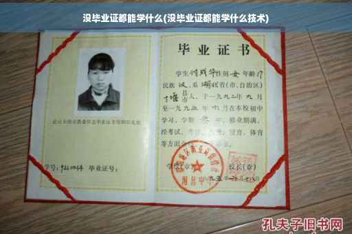 没毕业证都能学什么(没毕业证都能学什么技术)
