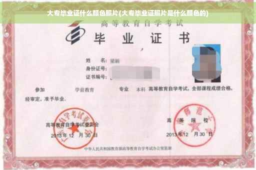 大专毕业证什么颜色照片(大专毕业证照片是什么颜色的)