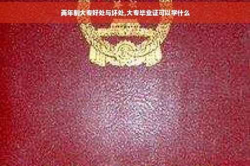 两年制大专好处与坏处,大专毕业证可以学什么