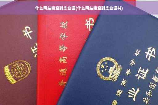 什么网站能查到毕业证(什么网站能查到毕业证书)