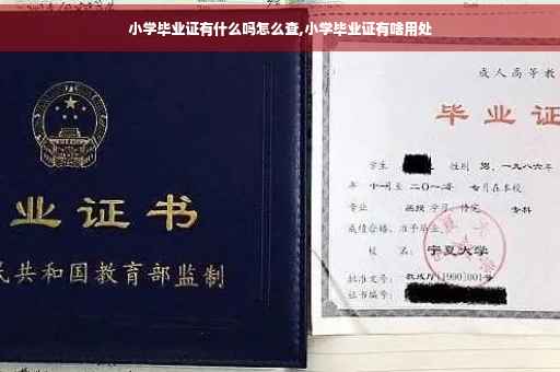 小学毕业证有什么吗怎么查,小学毕业证有啥用处