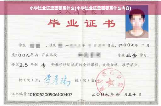 小学毕业证里面要写什么(小学毕业证里面要写什么内容)