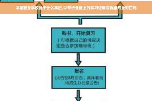 中等职业学校属于什么学历,中专毕业证上的实习证明是要跟专业对口吗