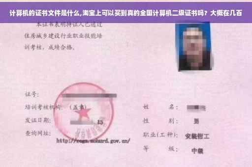 计算机的证书文件是什么,淘宝上可以买到真的全国计算机二级证书吗？大概在几百