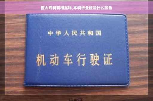 夜大专科有档案吗,本科毕业证是什么颜色