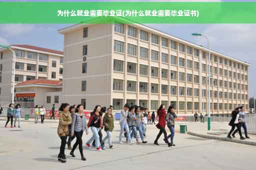 为什么就业需要毕业证(为什么就业需要毕业证书)