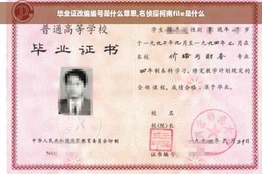 毕业证改编编号是什么意思,名侦探柯南file是什么
