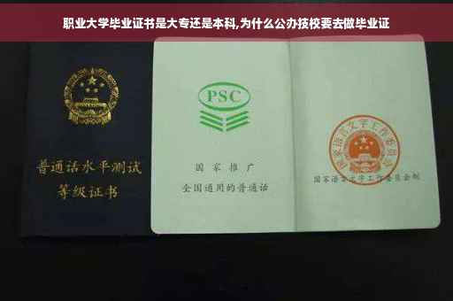 职业大学毕业证书是大专还是本科,为什么公办技校要去做毕业证