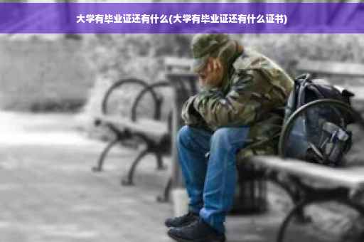 大学有毕业证还有什么(大学有毕业证还有什么证书)