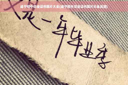 咸宁初中毕业证书图片大全(咸宁初中毕业证书图片大全高清)