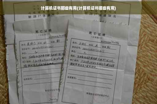 计算机证书那些有用(计算机证书哪些有用)