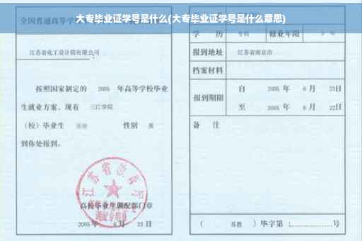 大专毕业证学号是什么(大专毕业证学号是什么意思)