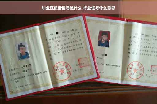 毕业证报告编号是什么,毕业证号什么意思