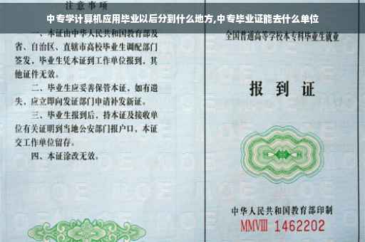 中专学计算机应用毕业以后分到什么地方,中专毕业证能去什么单位
